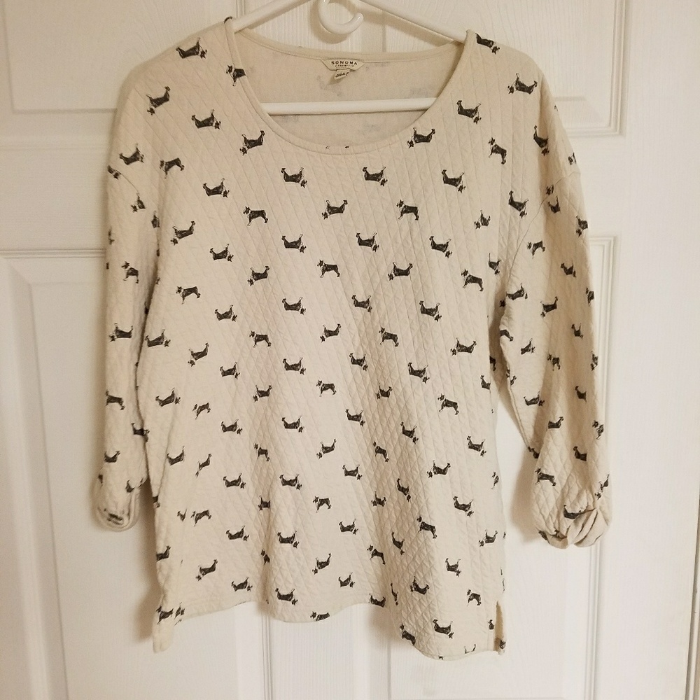 Women's dress top